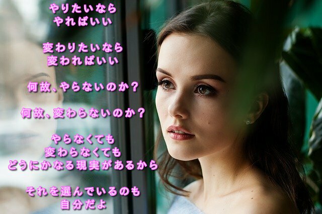 やりたいならやればいい 変わりたいなら変わればいい 何故、やらないのか? 何故、変わらないのか? やらなくても、変わらな