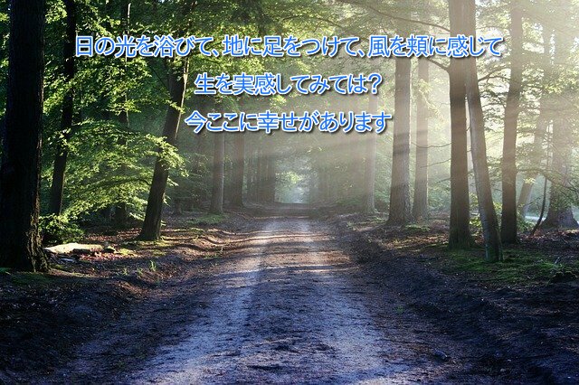 日の光を浴びて 地に足をつけて 風を頬に感じて 生を実感してみては？ 今ここに幸せがあります
