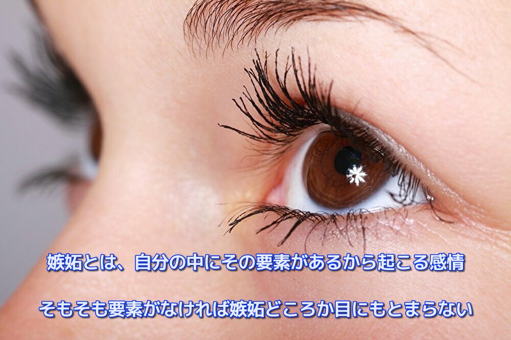 嫉妬とは、自分の中にその要素があるから起こる感情 そもそも要素がなければ嫉妬どころか目にもとまらない