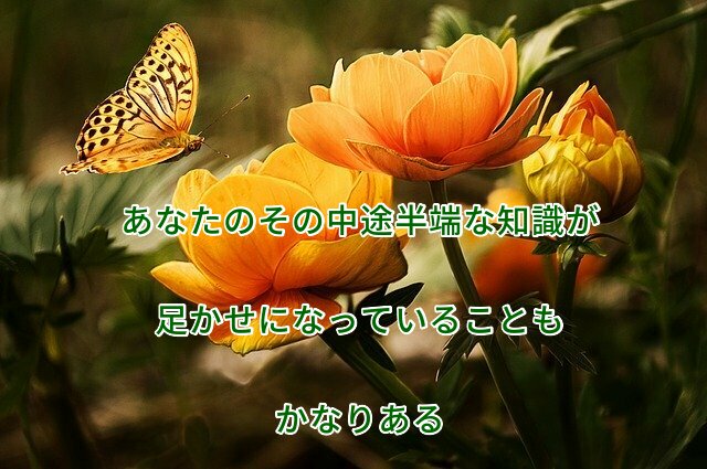 あなたのその中途半端な知識が 足かせになっていることも かなりある