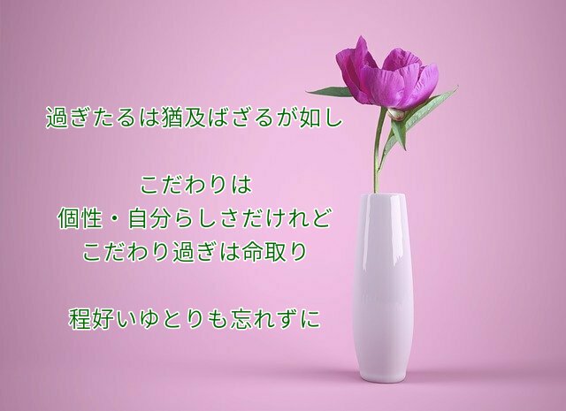 過ぎたるは猶及ばざるが如し こだわりは個性・自分らしさだけれど こだわり過ぎは命取り 程好いゆとりも忘れずに