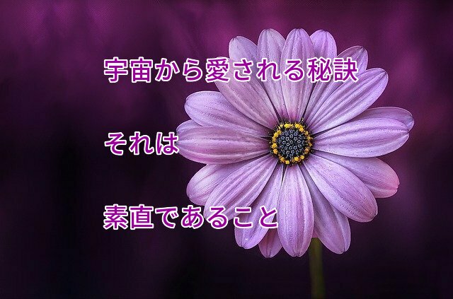 宇宙から愛される秘訣 それは 素直であること